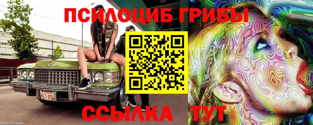 Нальчик  Галлюциногенные грибы MAGIC MUSHROOMS  Вход с VPN  Галлюциногенные грибы MAGIC MUSHROOMS 
